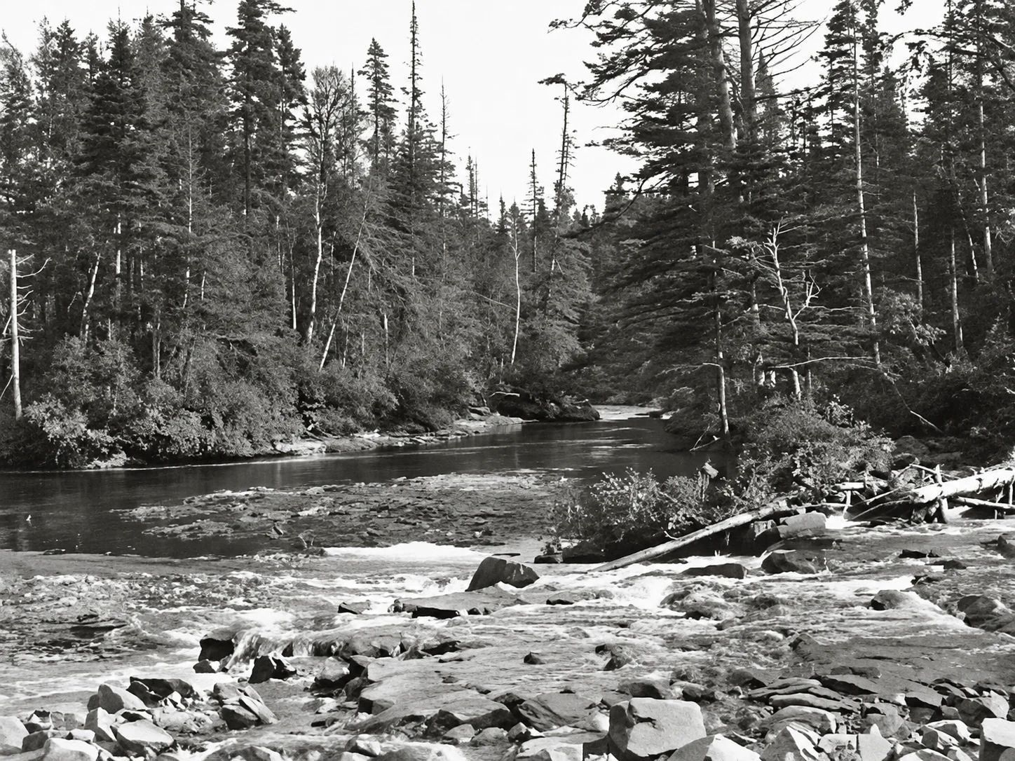 Fiume fiancheggiato da foreste vicino a Sept-Îles
