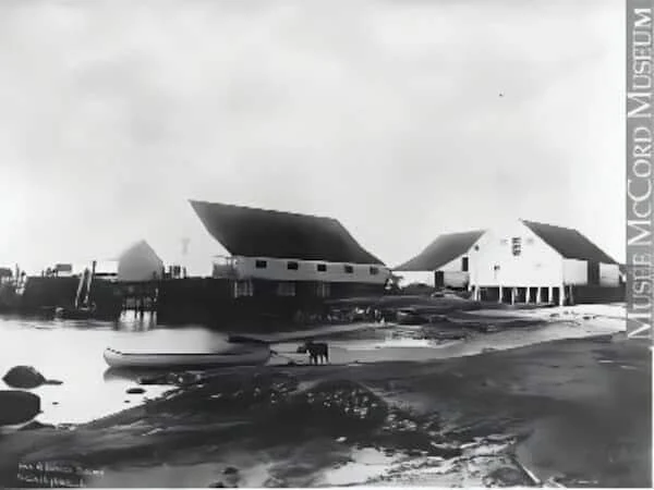 Photograph of a place featured in the account